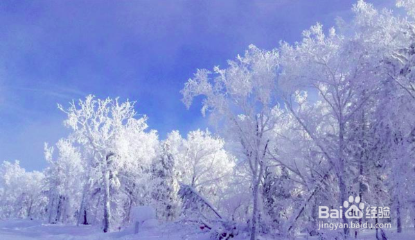 哈尔滨雪谷怎么玩？