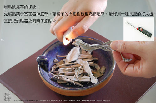香烟袅袅鼠尾草焚香法