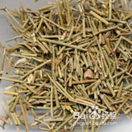 药学：中药养生之银杏