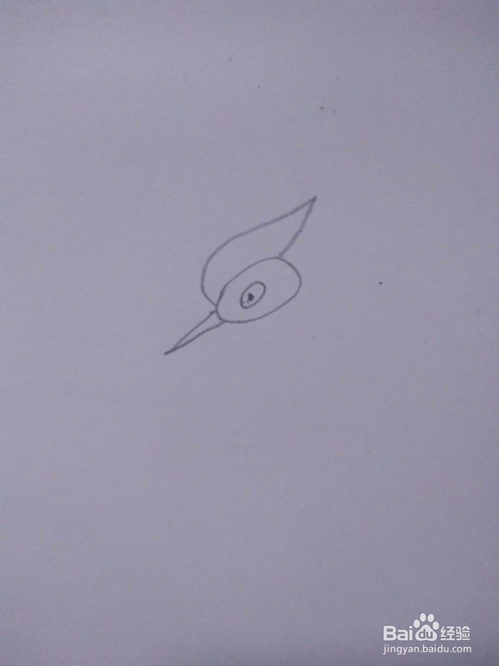 简笔画-如何画啄木鸟的简笔画?