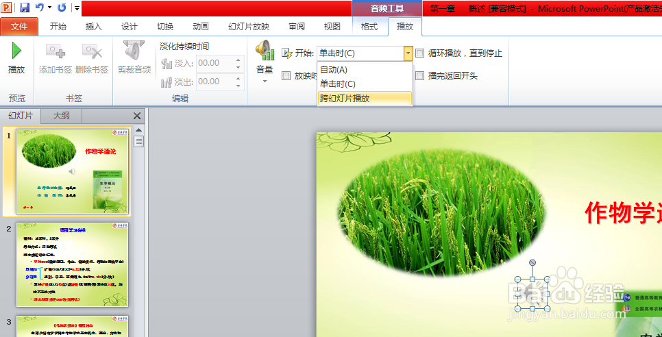 怎么给ppt插入全篇播放的音频？