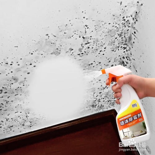 墙壁如何除霉?家里墙壁发霉怎么办?