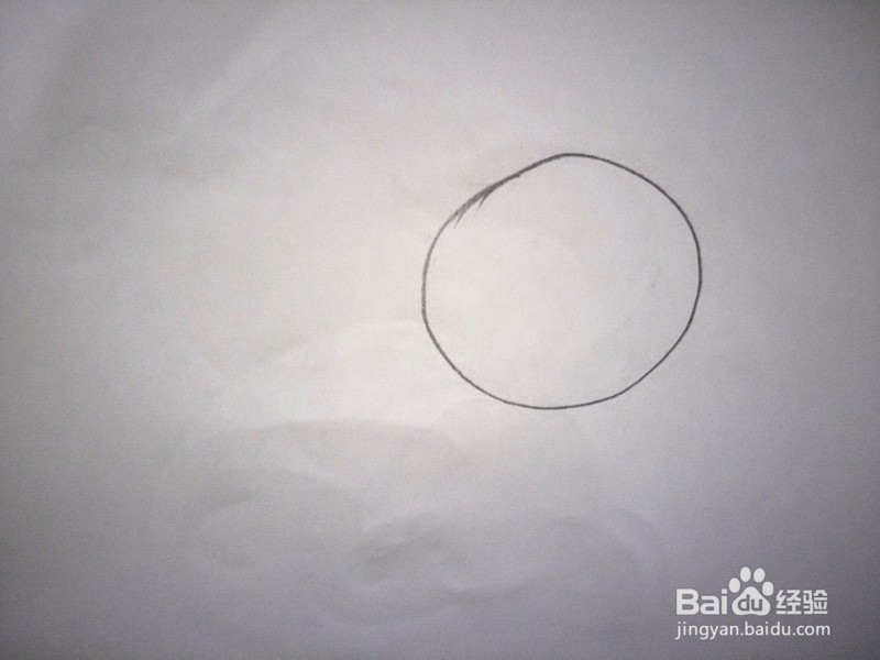 简笔画—卡通猪的画法