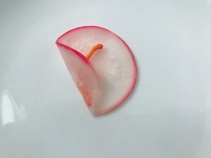 怎么做酸甜萝卜花