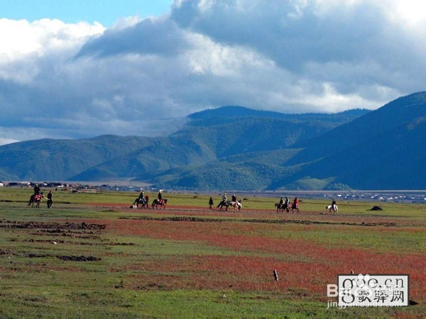 旅游最热城市，相约香格里拉
