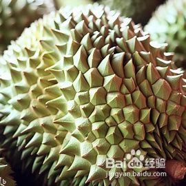 如何挑选新鲜美味的榴莲