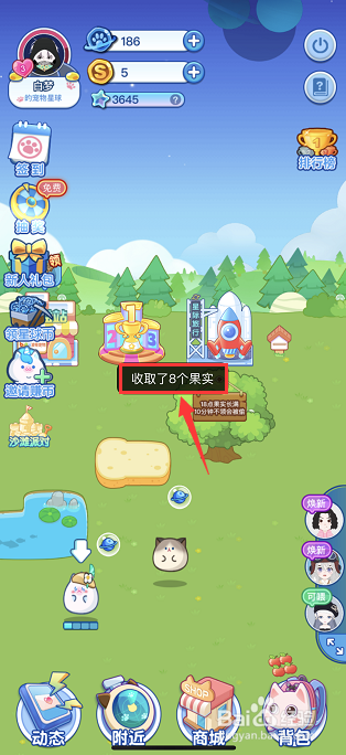 soul宠物星球如何获得苹果