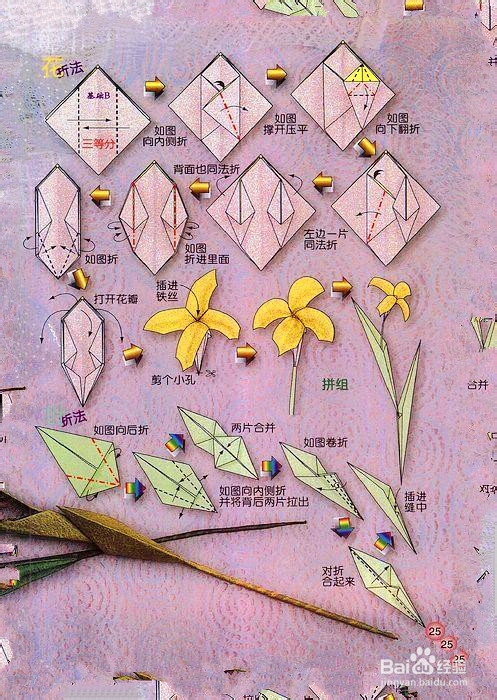 各种各样的折纸方法六