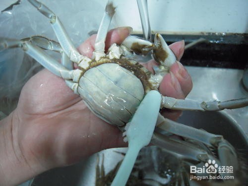 小河蟹怎么处理干净
