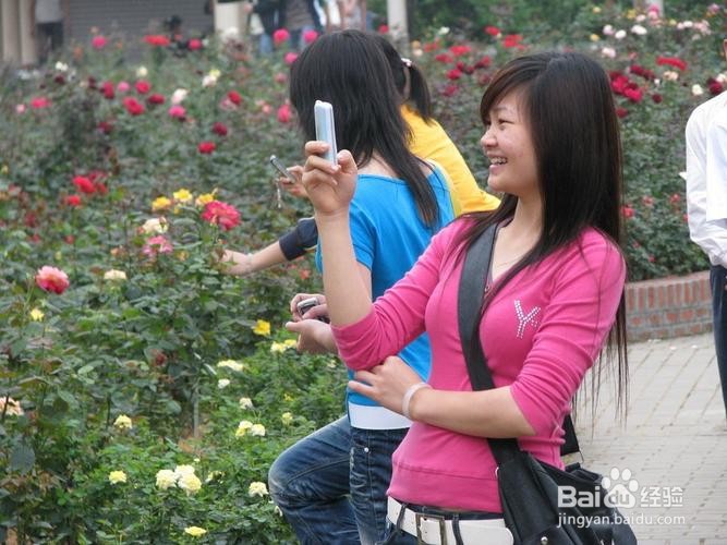 别人夸你的花美怎么回答