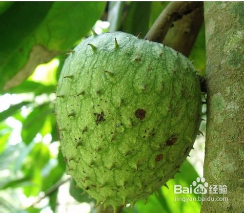 突发性耳鸣怎么根治？