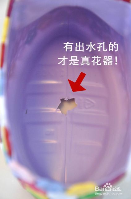 做个爱生活爱创造的女人