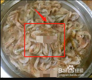 酥炸黄金虾的做法