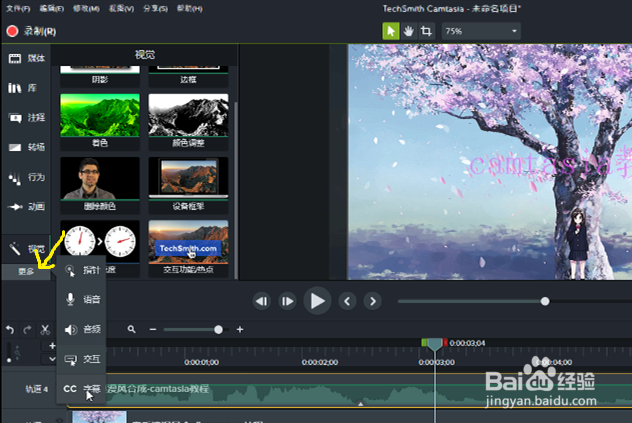 在camtasia2018中如何新建（创建）字幕？