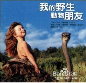 小学生寒假推荐阅读书籍