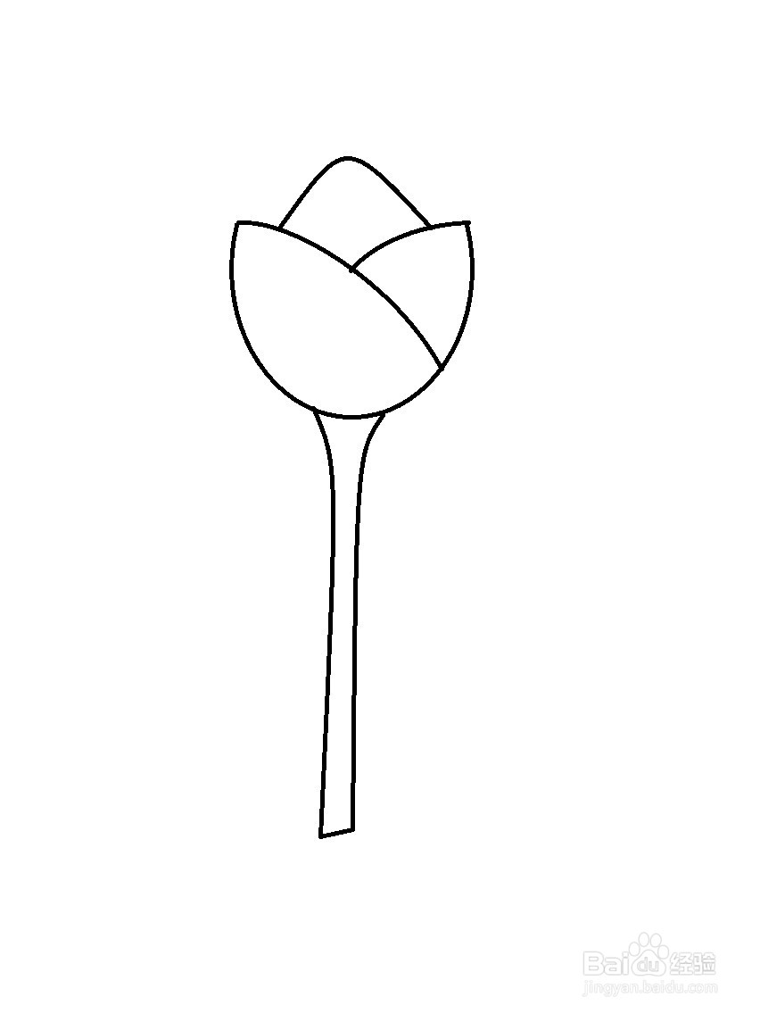 画郁金香的简单方法