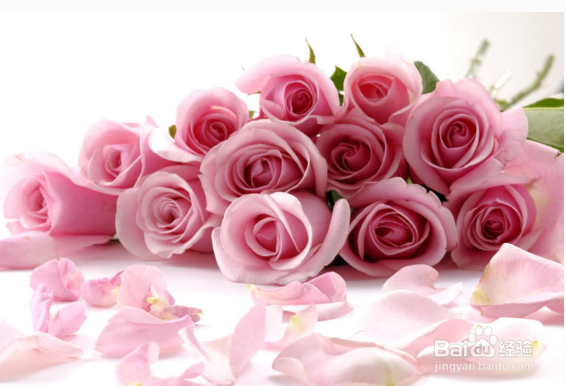 女朋友生日送啥生日礼物好