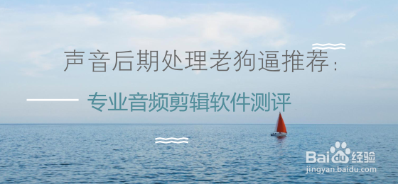 声音后期处理老狗逼推荐:专业音频剪辑软件测评