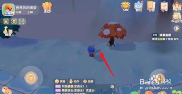 摩尔庄园手游白色浆果刷新时间位置攻略