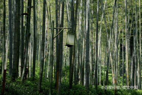 十里琅珰最美的一段怎么走