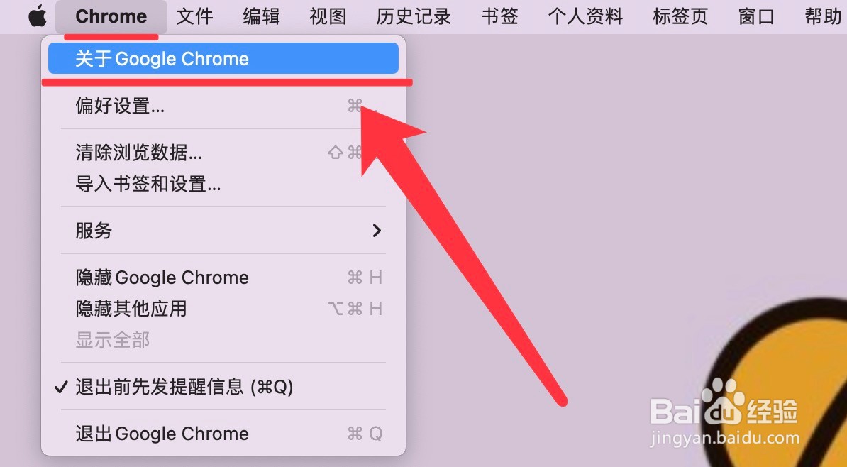 Google Chrome版本的查看方法