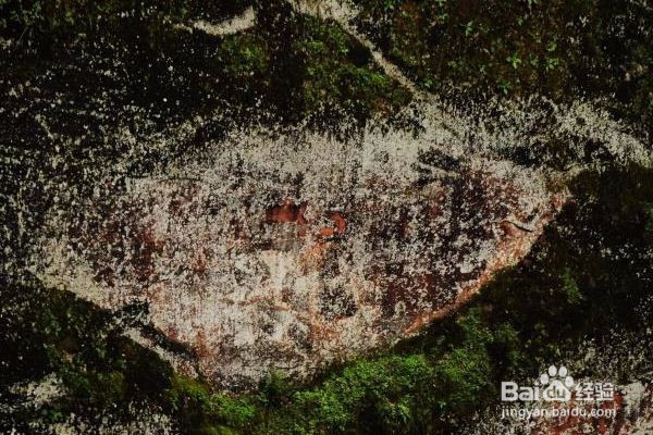 萌芽状态的艺术作品，远古与今日的对话