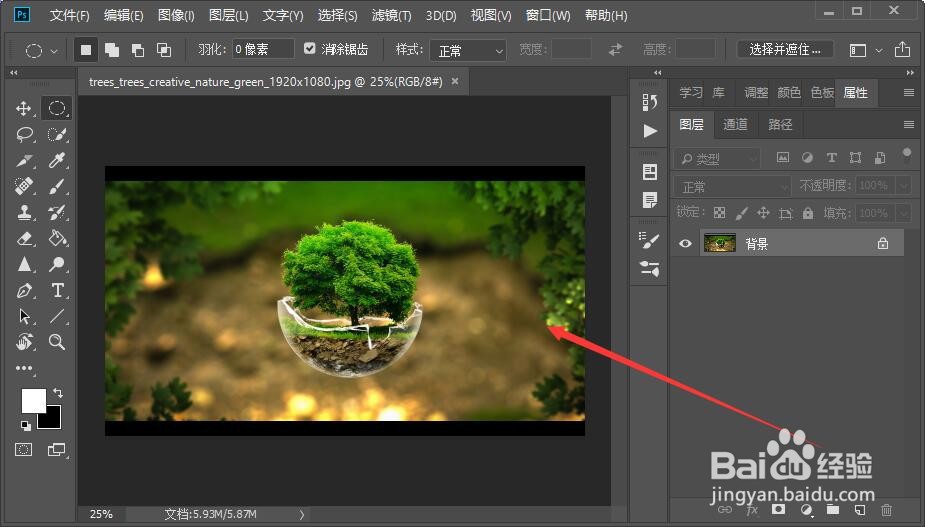 PS如何精确调整选区大小?