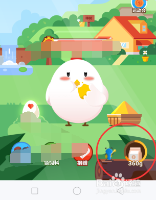 庄园小课堂：全民保养老金的分红什么时候能领