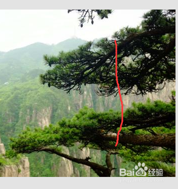 美图秀秀怎样使用自动抠图功能？