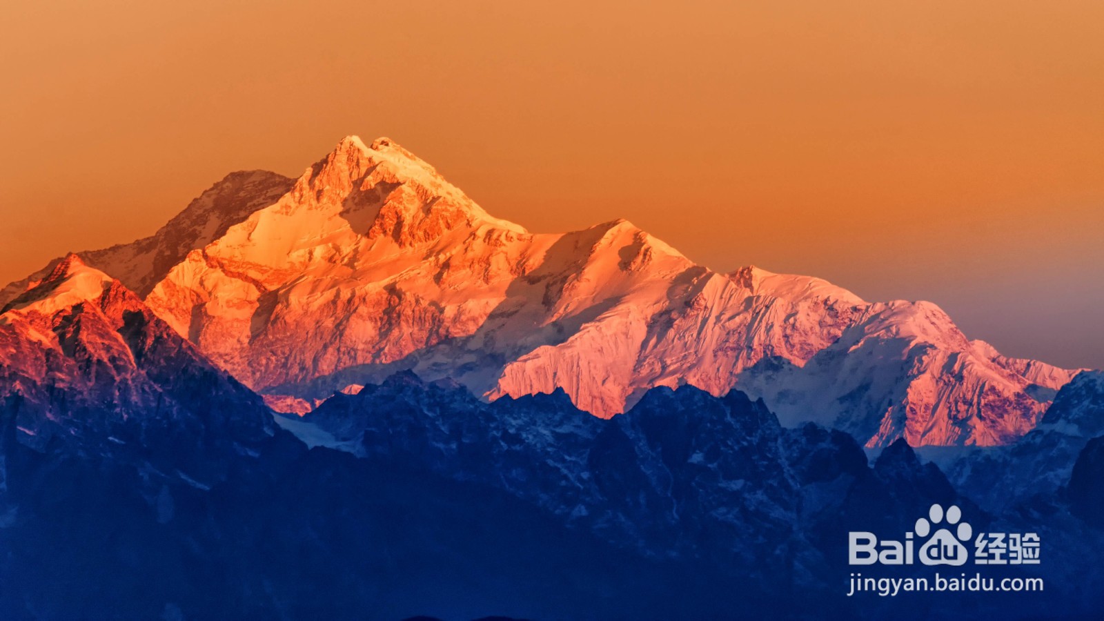 如何用电脑赚钱