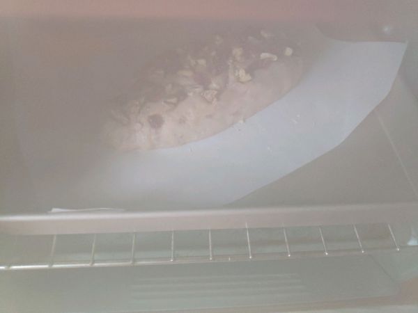 蔓越莓核桃硬欧