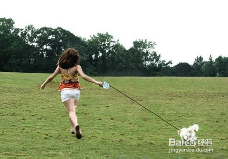 收养流浪狗你需要准备哪些？