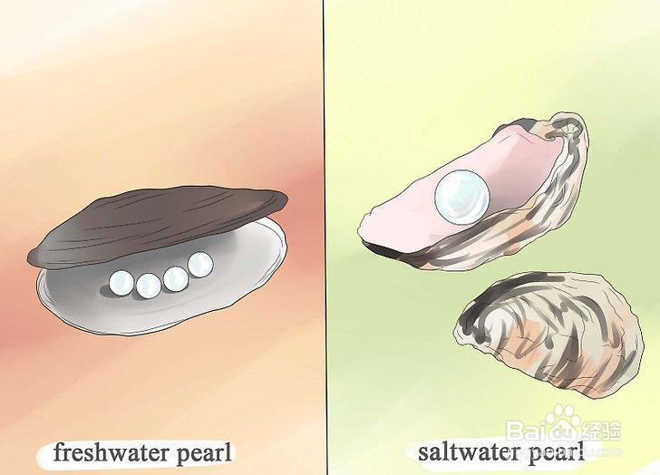 如何挑选珍珠