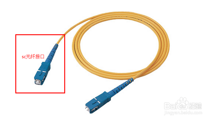 网络管理员必备：[16]交换机的接口种类