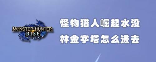 怪物猎人崛起水没林金字塔怎么进去 百度经验