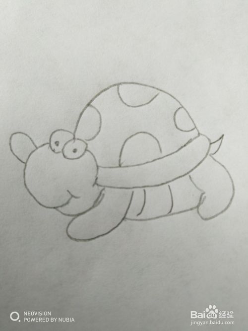 可爱的小乌龟怎么画