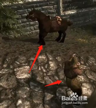 上古卷轴5怎么召唤马 百度经验