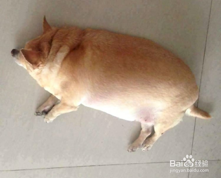 午睡的好处与坏处
