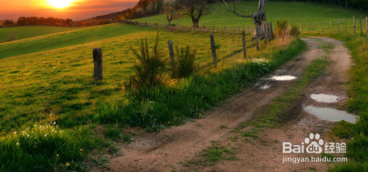 ps中的修复画笔怎么使用？