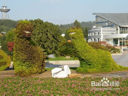 妇女节云南特价之旅