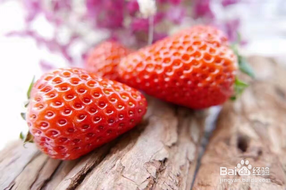 草莓脯烘干机的效果好吗草莓干烘干机使用技巧