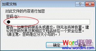 Word2007教程：[6]如何给Word2007文档加密