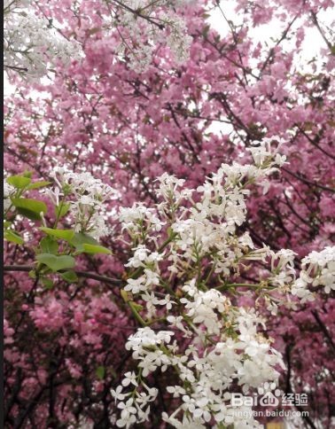 怎样从失恋的阴影中走出来