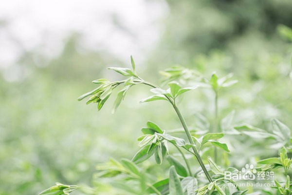 买的车位 退不掉怎么办