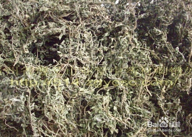 土单验方——五官科：[1]鼻炎