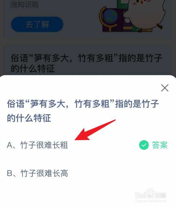 笋有多大,竹有多粗指竹子什么特征蚂蚁庄园