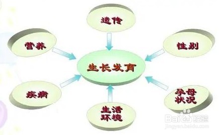 16岁该怎么做才能长高