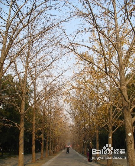 石家庄到北京旅游攻略