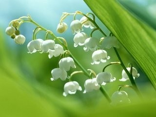 最强知识,养生之道