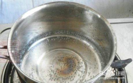 糖渍橙皮丝的攻略